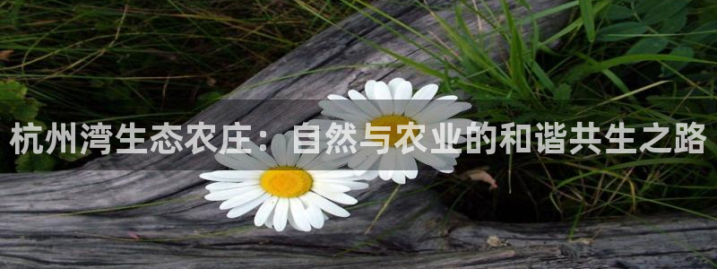 摩根娱乐宝老上不去啊
