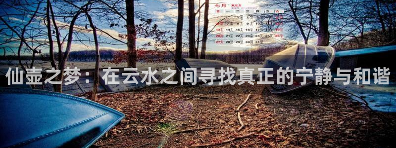 摩根娱乐云挂机项目