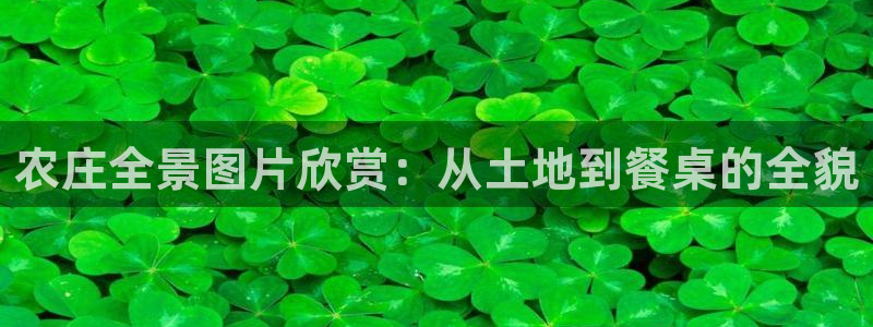 摩根娱乐宝杀单吗