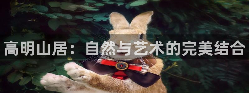 摩根娱乐彩票被骗了