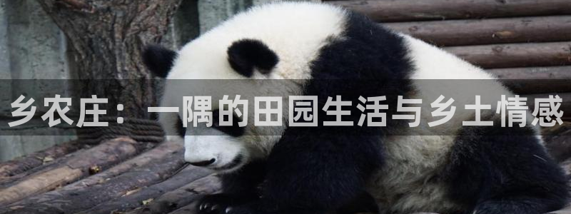 摩根娱乐注册账号