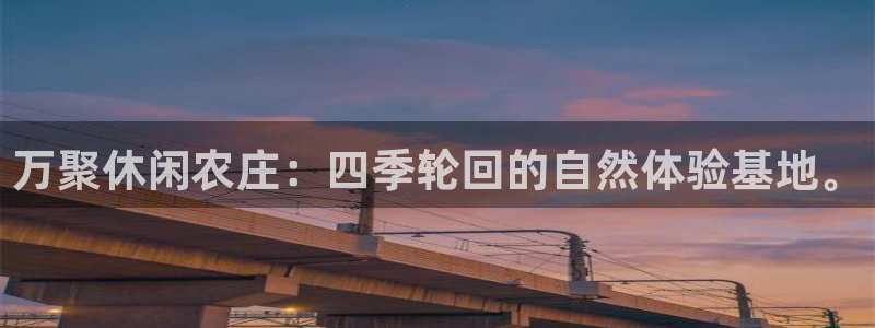 摩根娱乐_ c招a商77130