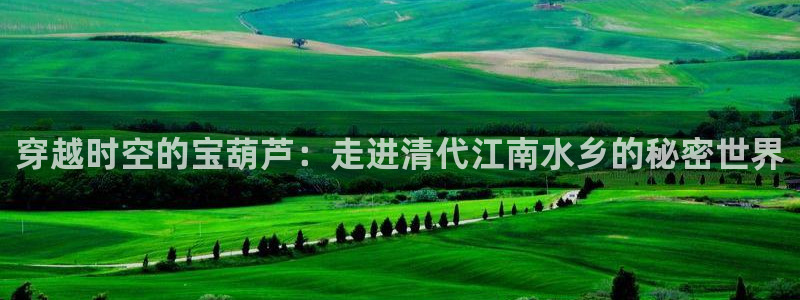 摩根娱乐视频大全