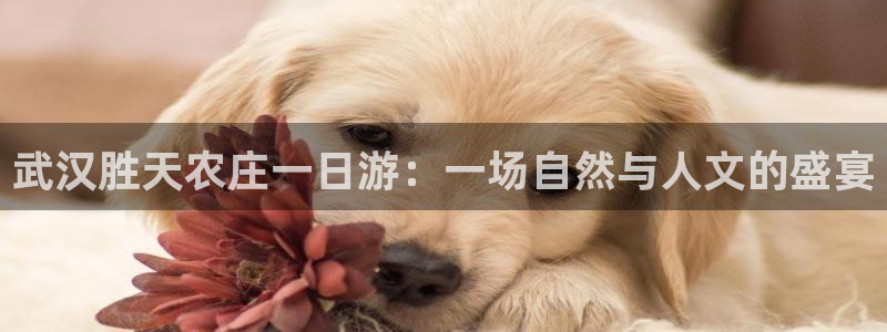 摩根娱乐这个平台怎么样