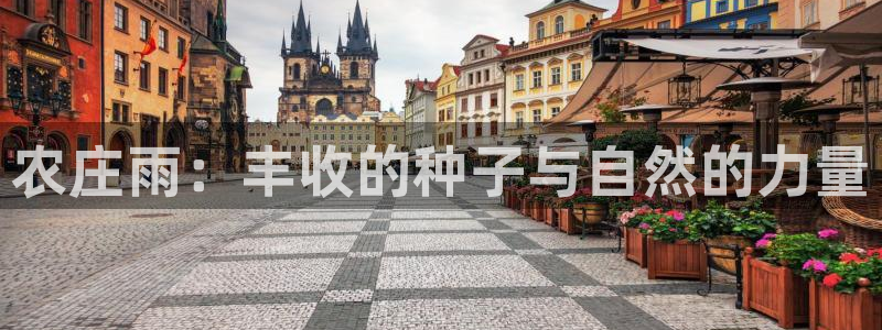 泉州摩根会娱乐保安公司