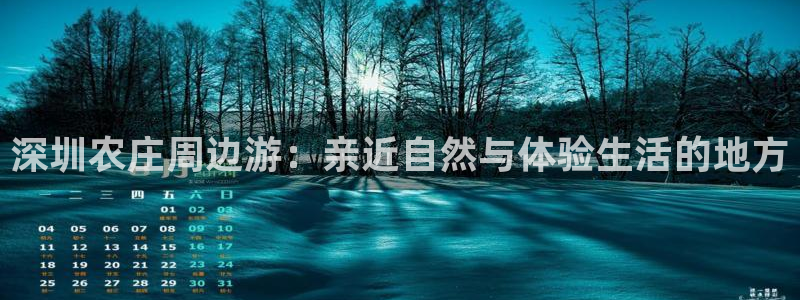 摩根克里克娱乐公司