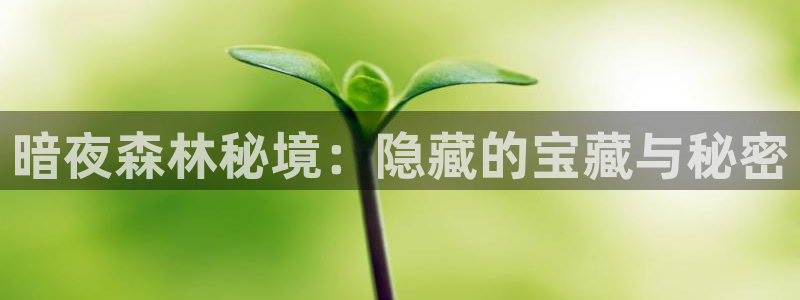 摩根娱乐宝真的假的