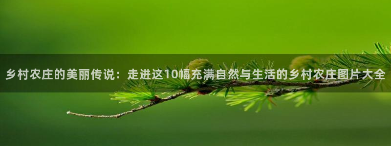 摩根国际娱乐宝