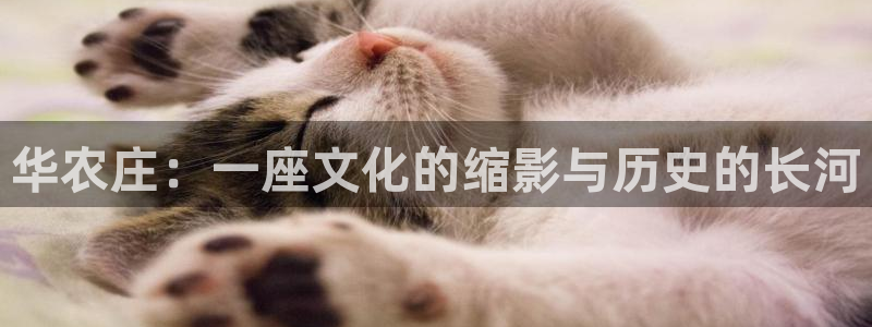临平摩根娱乐会所电话