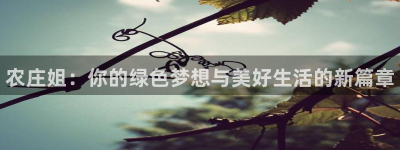摩根娱乐宝吧
