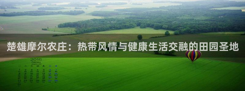 摩根娱乐 实c力77310