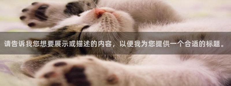 摩根娱乐彩票挂机