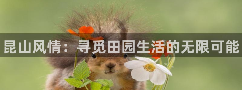华视娱乐摩根王琛
