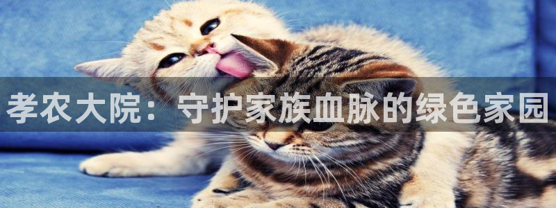 摩根娱乐宝诈骗