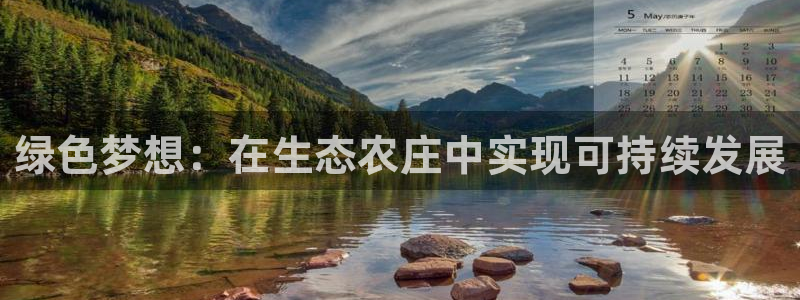 摩根娱乐套路