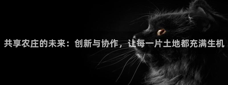 摩根娱乐部