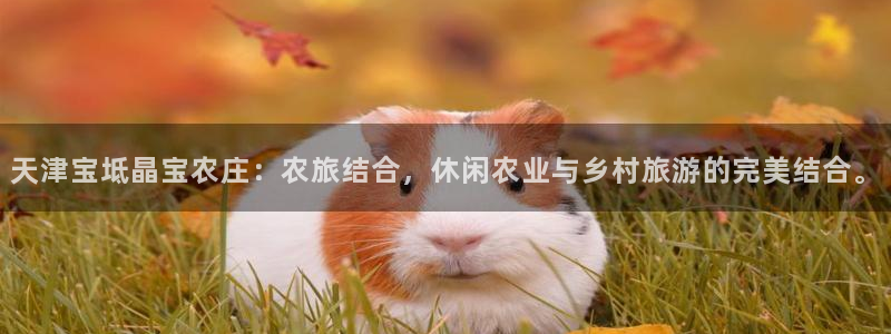 摩根娱乐宝是骗人的的吗