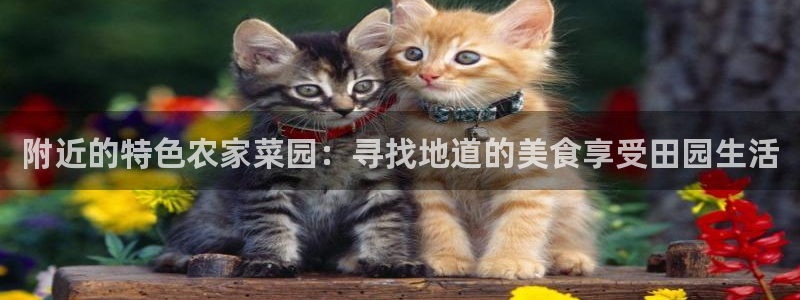 摩根娱乐宝微交易