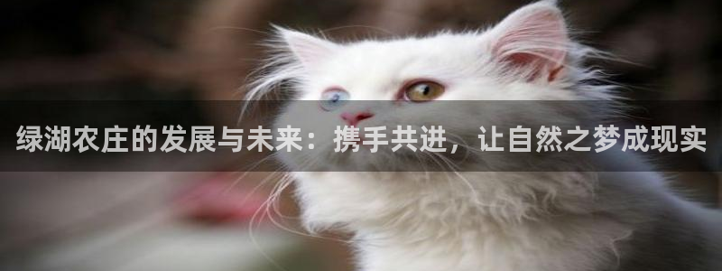 摩根娱乐宝秒单