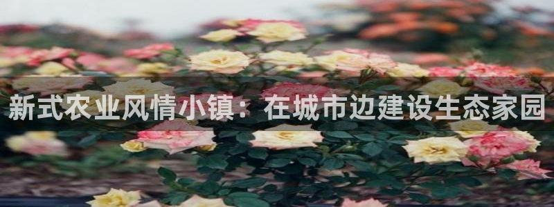泉州摩根娱乐会所电话地址