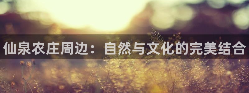 芜湖摩根一百有哪些娱乐