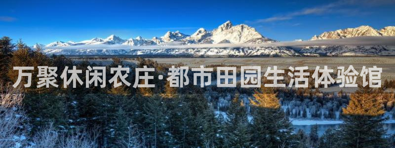 摩根娱乐宝k线图