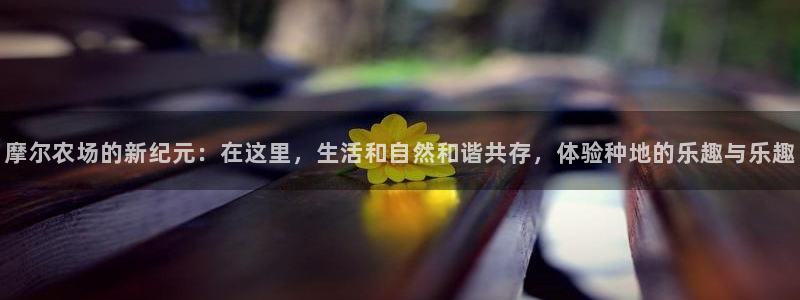摩根娱乐宝进不去