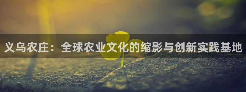 摩根娱乐主管