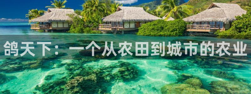 摩根娱乐宝是什么