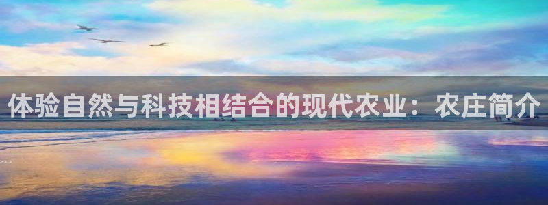 摩根娱乐宝创始人