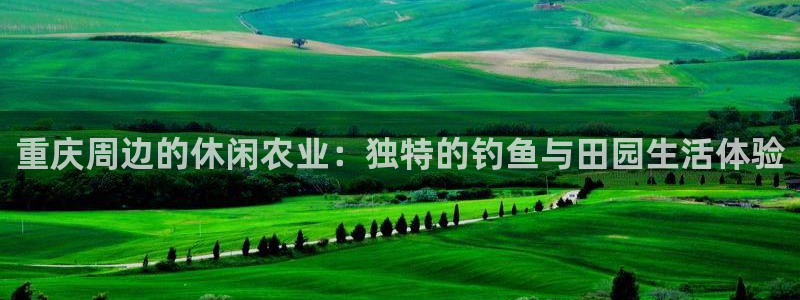 摩根娱乐是什么
