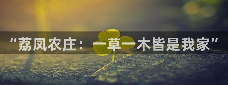 摩根娱乐注册平台