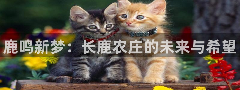 摩根娱乐云挂机是真的嘛