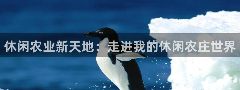 摩根娱乐宝官网