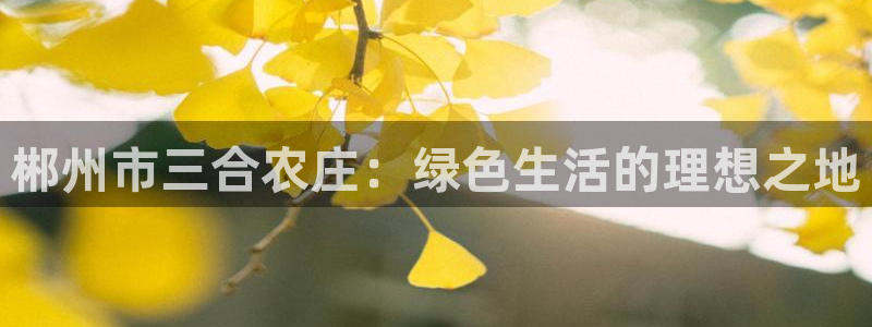 义乌摩根娱乐会所地址
