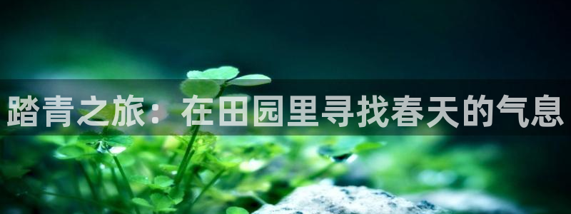 摩根娱乐会所电话