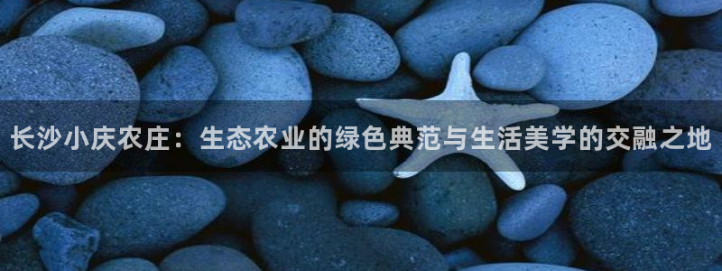 摩根娱乐宝机怎么玩