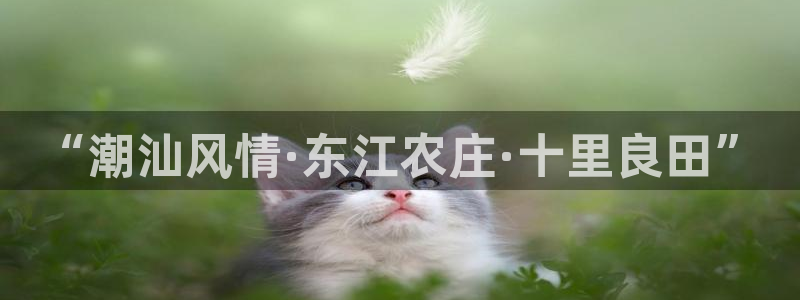 泉州摩根娱乐会所