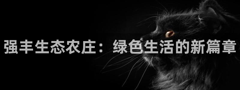 摩根娱乐包是什么