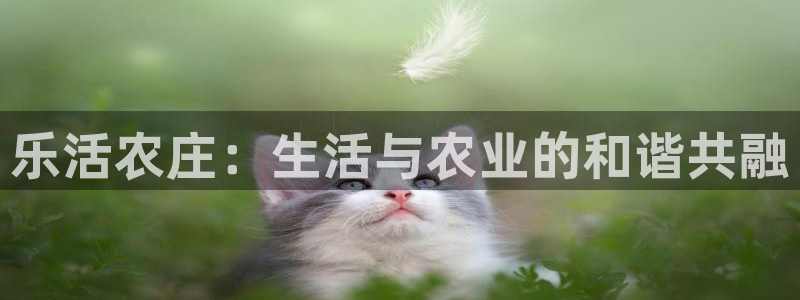 泉州摩根娱乐会所电话多少