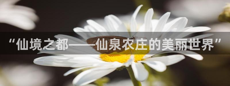摩根娱乐app