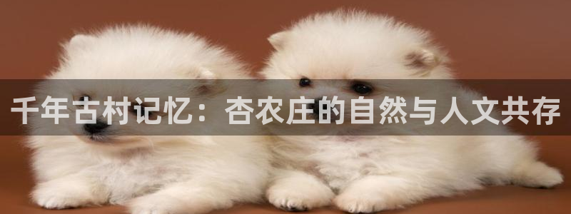 泉州白宫摩根娱乐会所