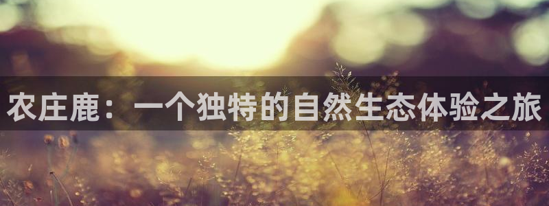 泉州摩根娱乐会所电话号码