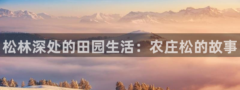 摩根娱乐彩票被骗了