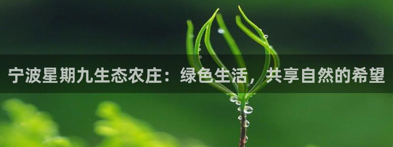 摩根娱乐开户总s管50015 18