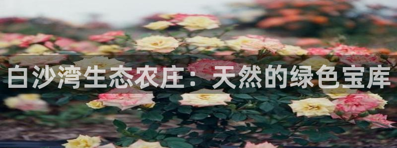 摩根娱乐宝怎么样