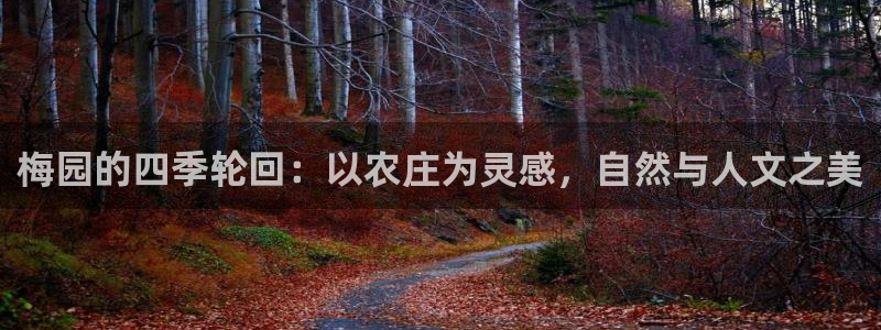 亚瑟摩根娱乐的地方