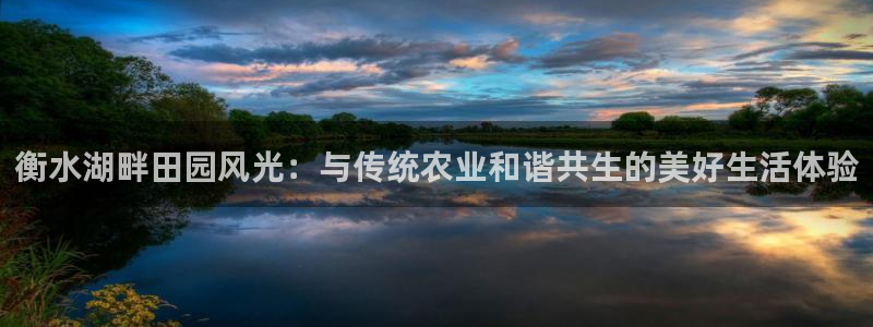 摩根在娱乐圈爆红