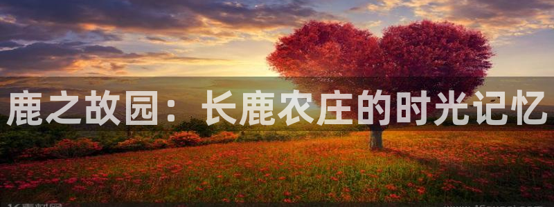 摩根娱乐包是什么