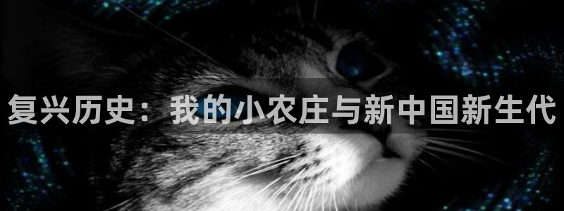 摩根娱乐宝怎么样